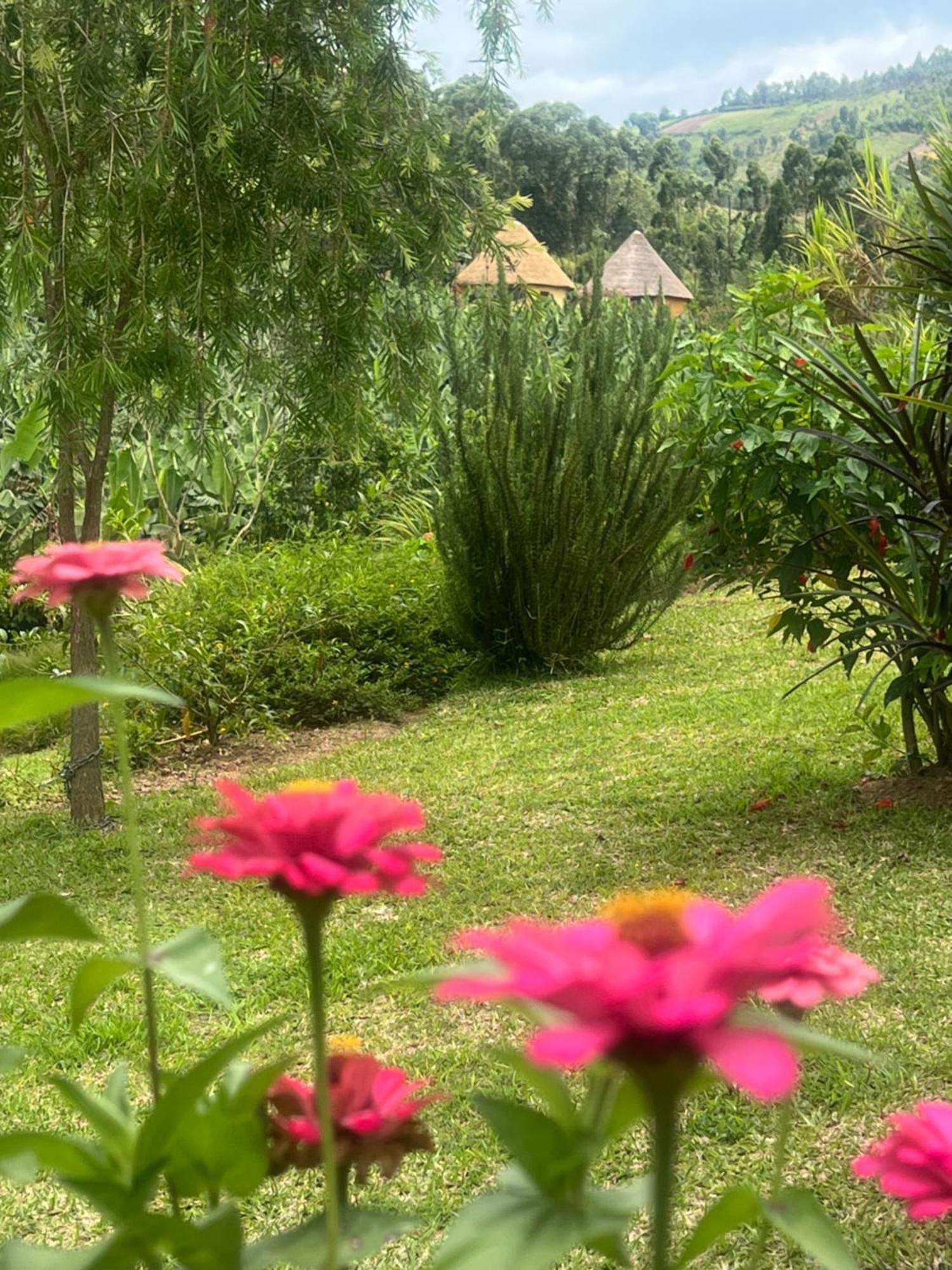 Nyore Hillside Retreat Mbarara Exteriér fotografie